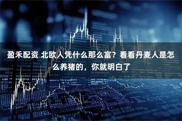 盈禾配资 北欧人凭什么那么富？看看丹麦人是怎么养猪的，你就明白了