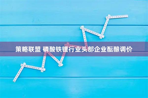 策略联盟 磷酸铁锂行业头部企业酝酿调价