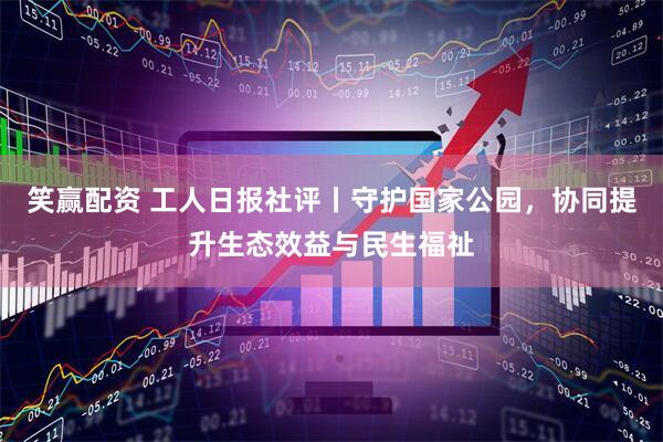 笑赢配资 工人日报社评丨守护国家公园，协同提升生态效益与民生福祉